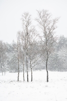 Alledaagse Dingen_13