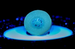 Alledaagse Dingen_23