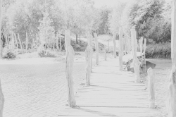 Fotoalbum