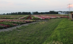 Fotoalbum