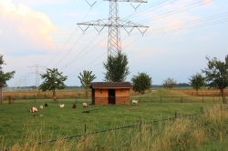 Fotoalbum