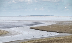 Fotoalbum