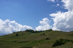 Fotoalbum