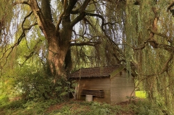 Fotoalbum