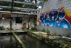 Fotoalbum