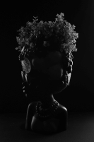 Silhouet_1