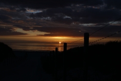 Silhouet_26