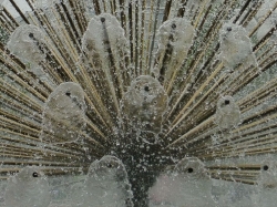 Water_20