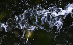 Water_25