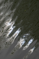 Water_29