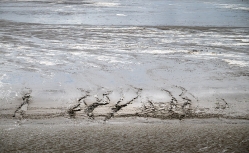 Water_4