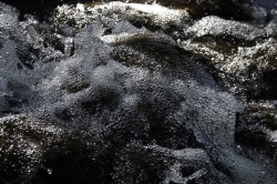 Water_7