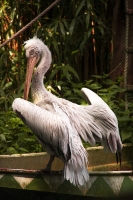 Zooparc_23