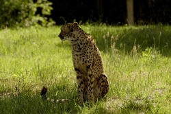 Zooparc_8